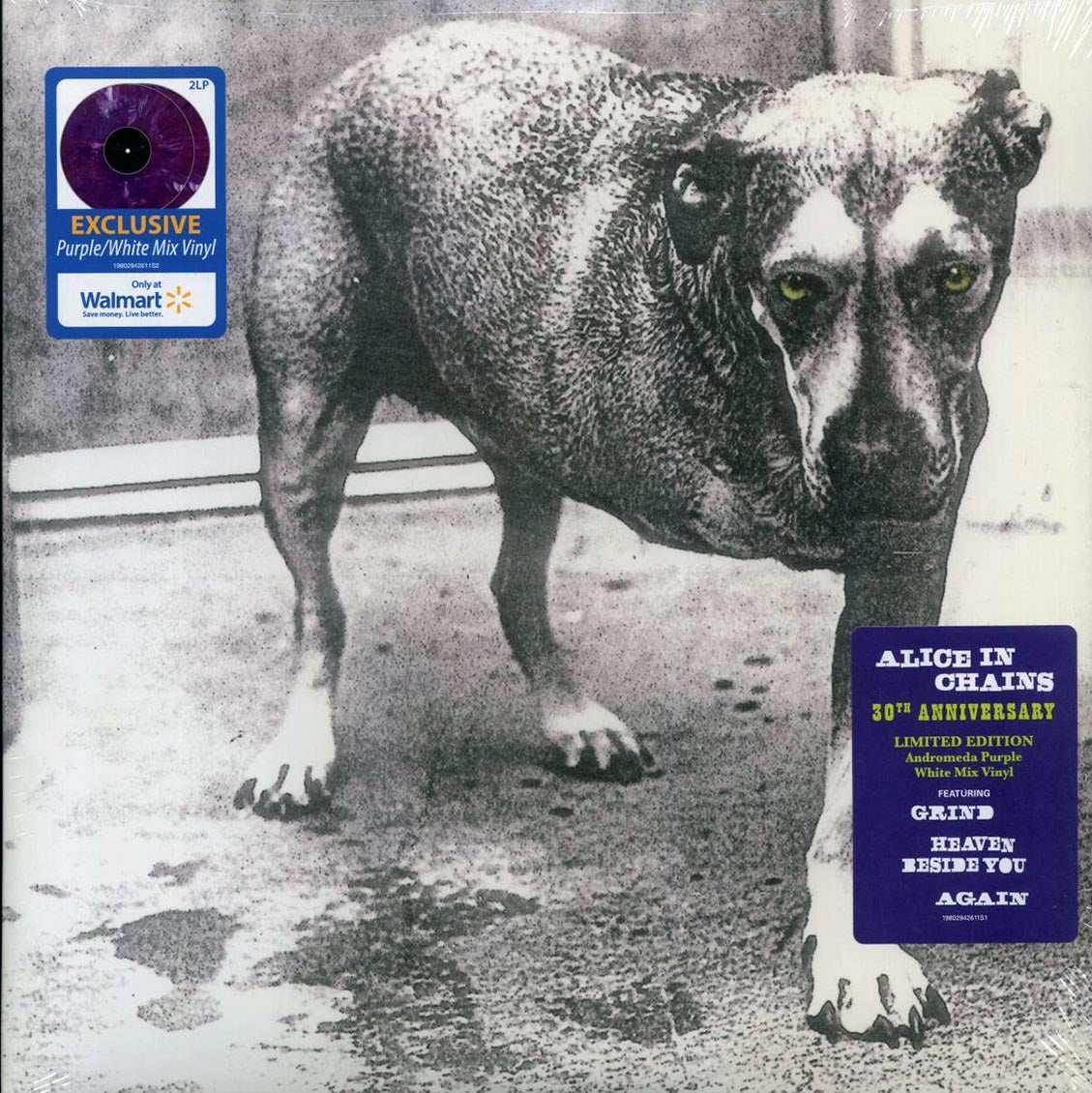 Alice In Chains 30th Anniversary Purple & White Vinyl 2LP