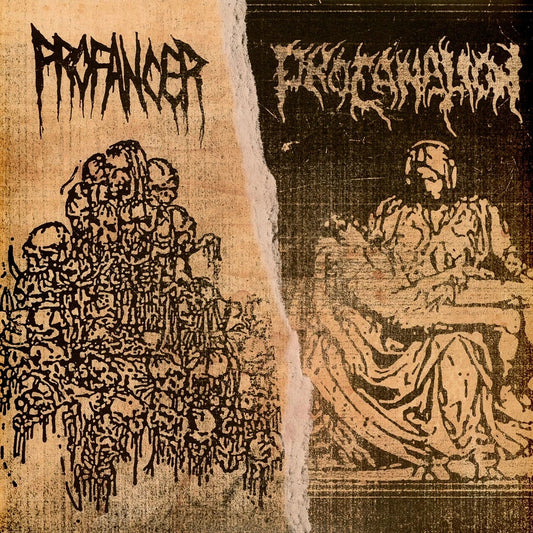 Split [2LP] (Import)