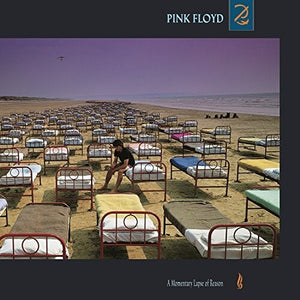 Pink Floyd - A Momentary Lapse of Reason [180g LP]