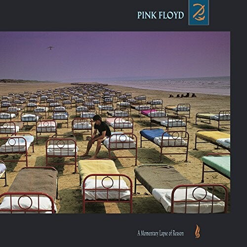 Pink Floyd - A Momentary Lapse of Reason [180g LP]