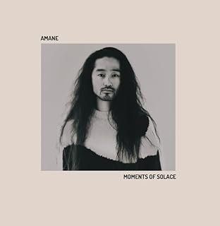 Moments Of Solace [LP]