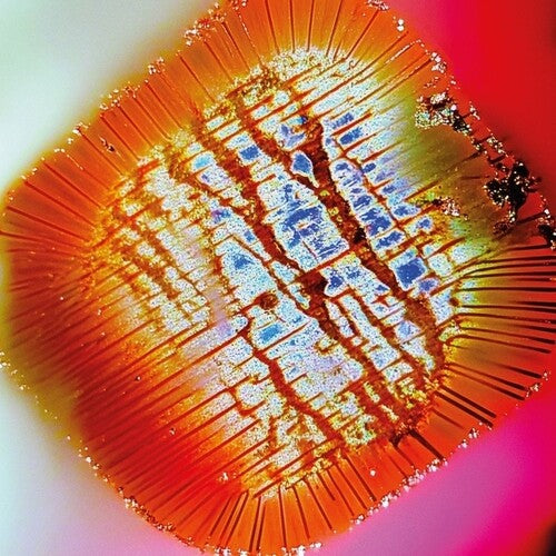 Nothing Stands Still [2LP]