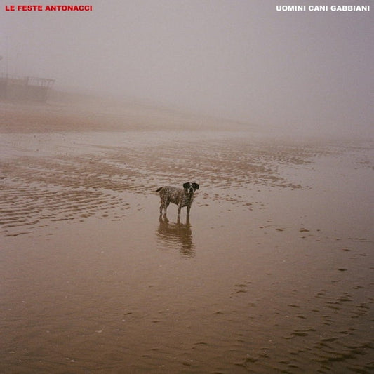 Uomini Cani Gabbiani [LP]