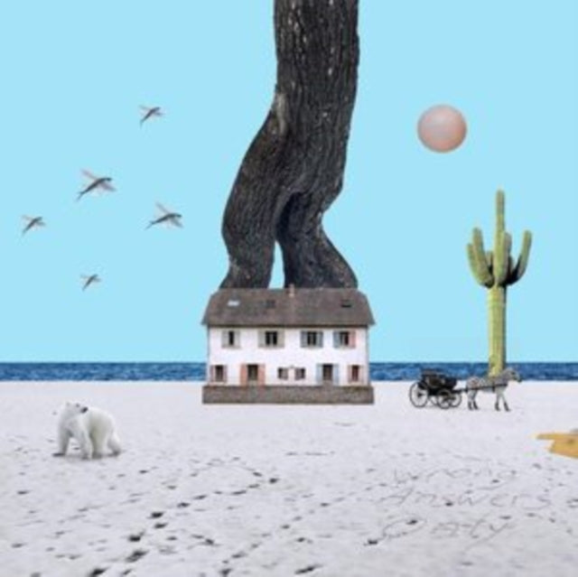 Who Parked The Car – Wrong Answers Only cover artwork