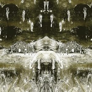 Tadpoles [LP]