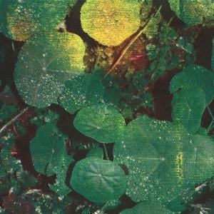 About Honey [LP]