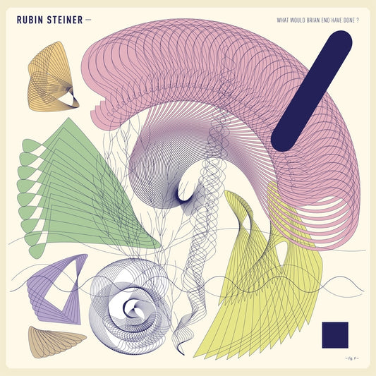 Rubin Steiner - What Would Brian Eno Have Done? vinyl product image