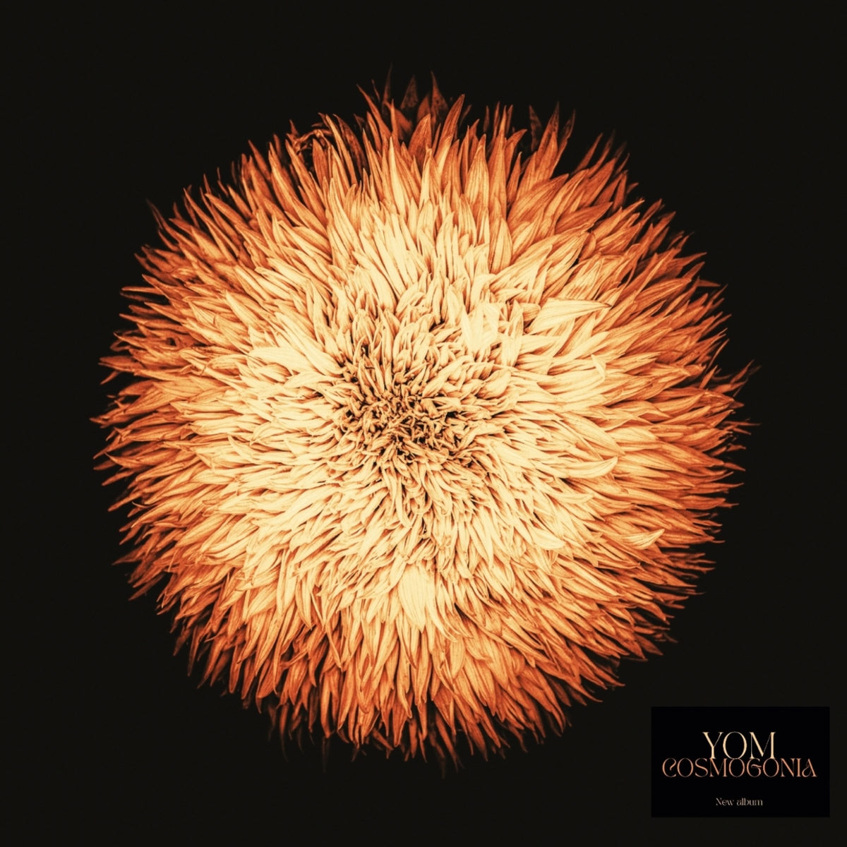 Yom – Cosmogonia cover artwork