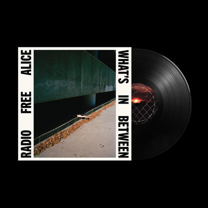 What's In Between Black Vinyl