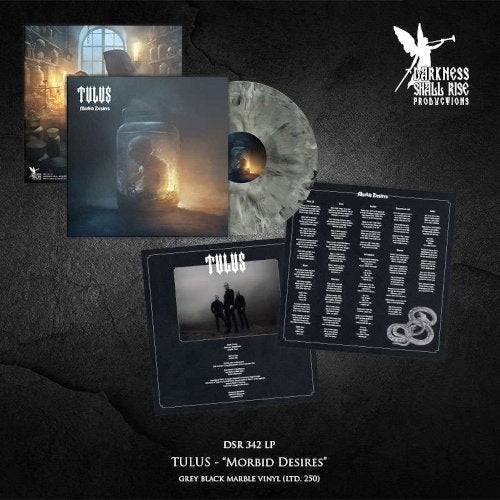 Morbid Desires [Grey & Black Swirl Vinyl LP]