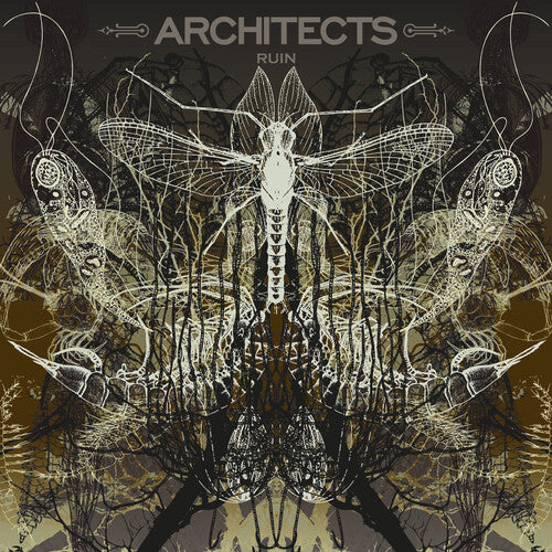 Ruin (Limited Picture Disc) [LP]