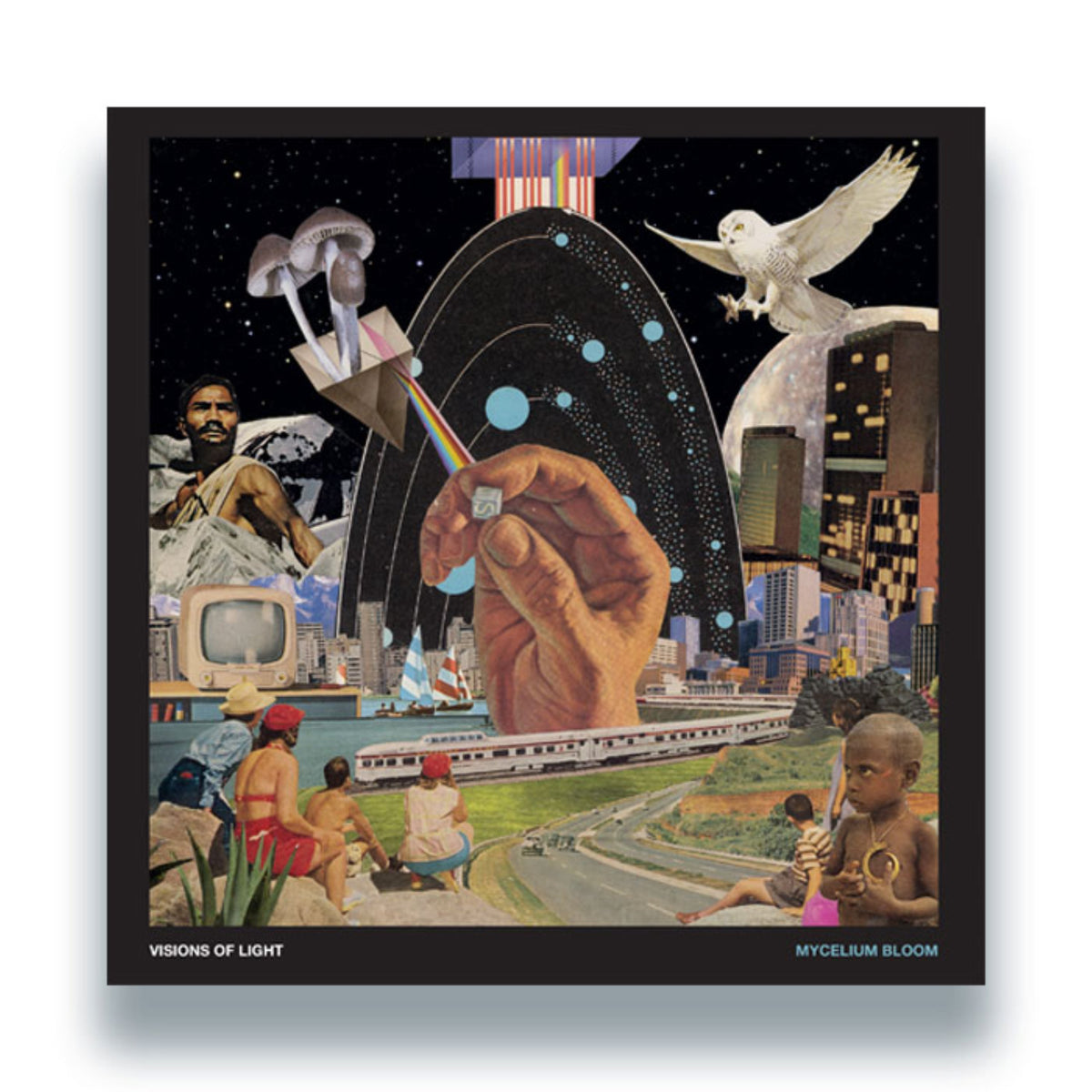 Mycelium Bloom [LP]