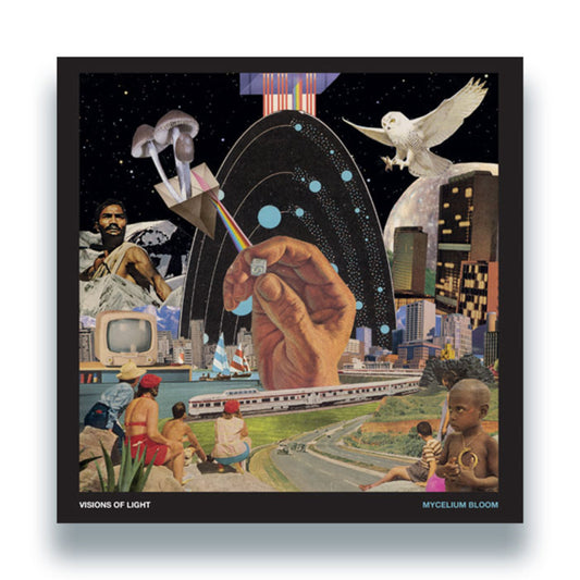 Visions Of Light - Mycelium Bloom [LP]