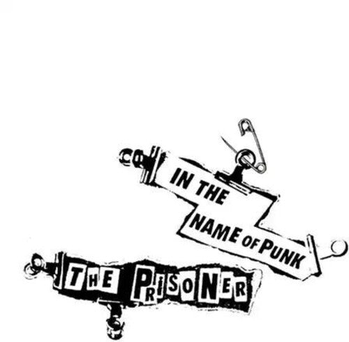 In The Name Of Punk [CD]