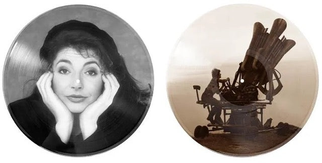 Cloudbusting [12" Picture Disc Vinyl]