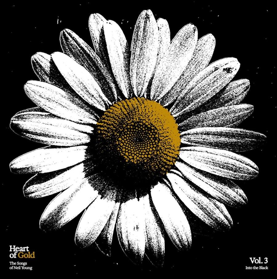 Various Artists - Vol. 3: Into The Black [LP]