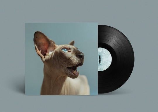 Golden Frames [LP]