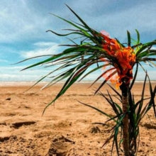 A Burial At Sea [LP]