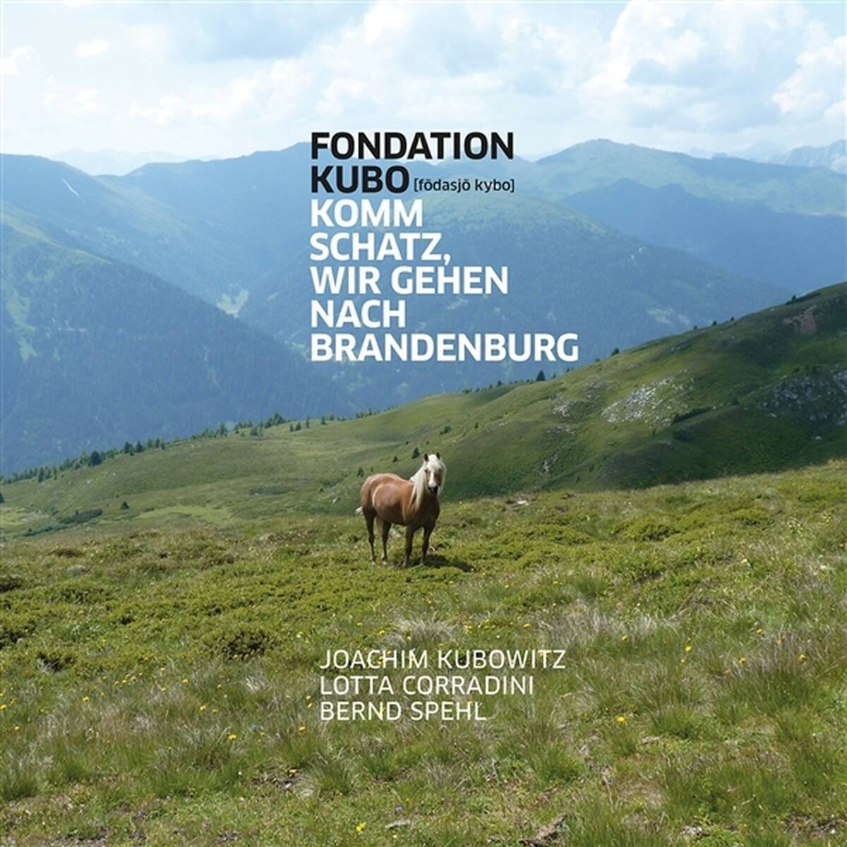 Wir Gehen Nach Brandenburg [LP]