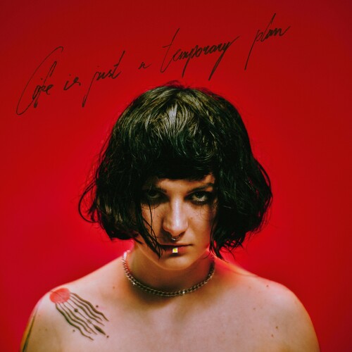 Life Is Just A Temporary Plan [LP] (Import)