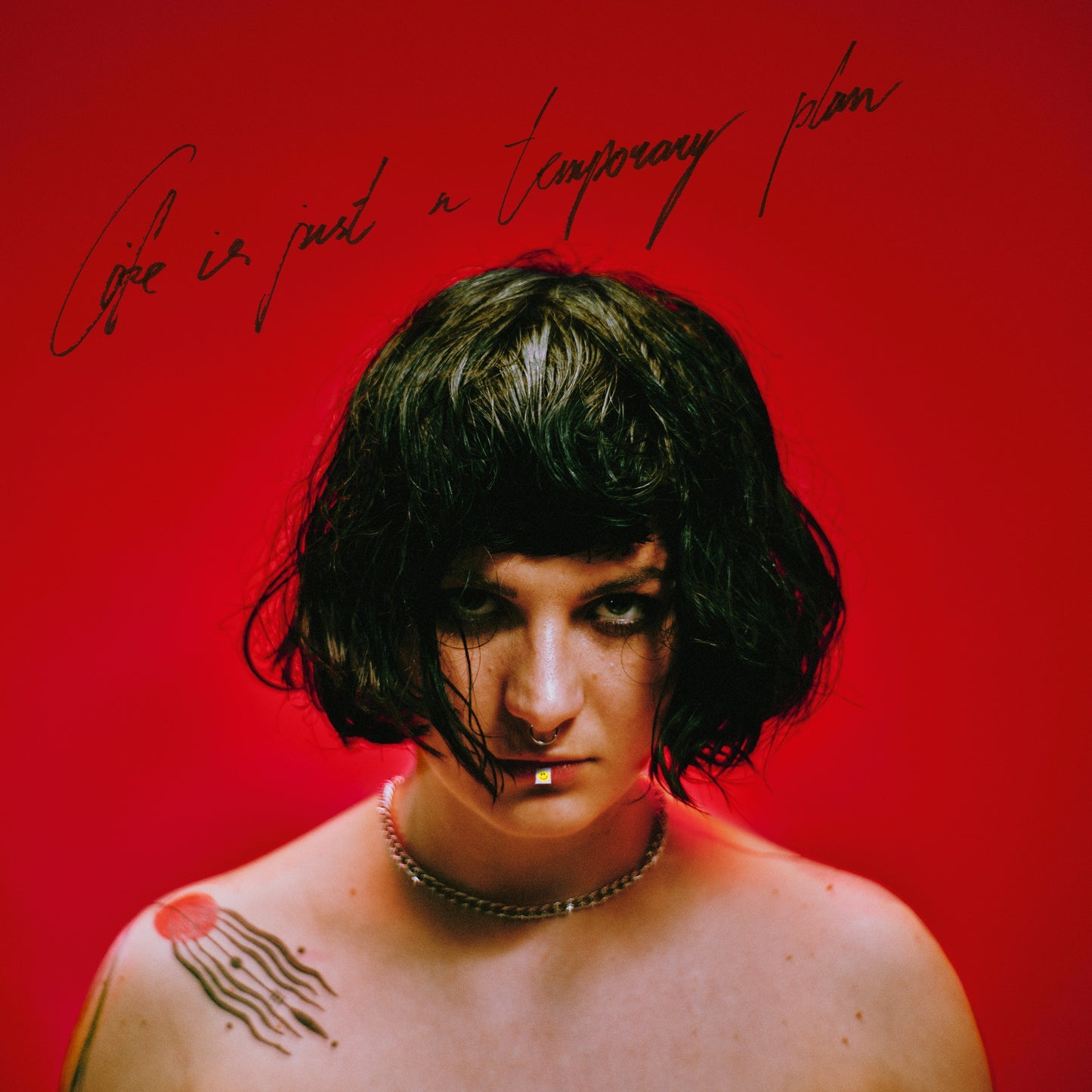 Life Is Just A Temporary Plan [LP Import]