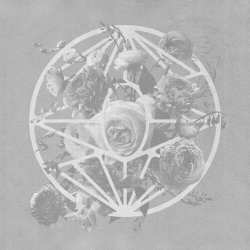 Turn The Light On [Limited Pearl Sunrise 2LP LP]