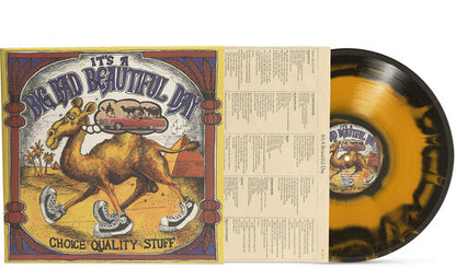 It's a Beautiful Day — Choice Quality Stuff / Anytime [Orange & Black Sunburst 180g LP]; product image 1