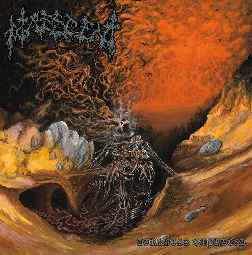 Darkness Embraced [LP] (import)