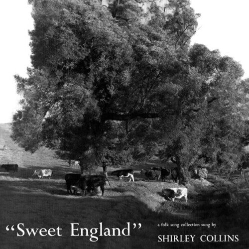 Sweet England [LP]