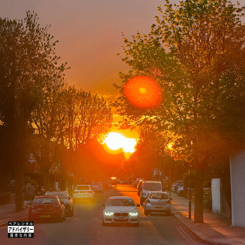 No Vi$Ible Means Of Income 3 [LP]