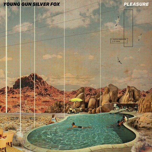Pleasure [CD]
