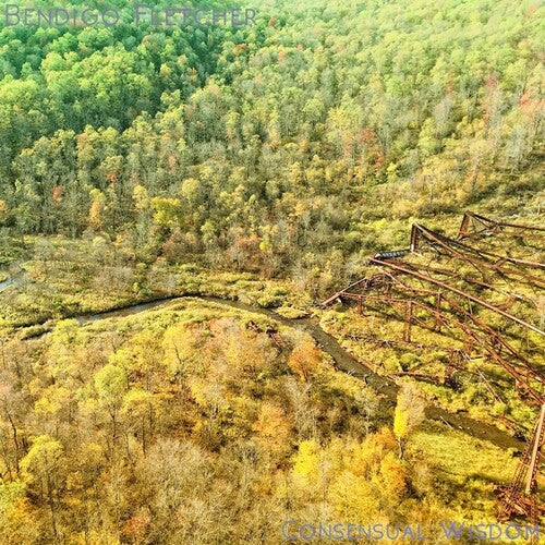 Consensual Wisdom [LP] (Opaque Beige Vinyl)