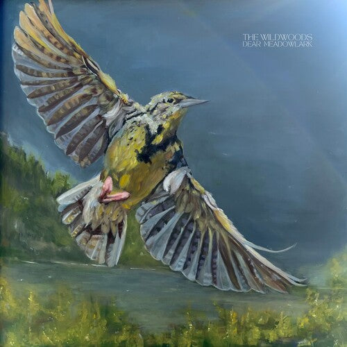 Dear Meadowlark [LP]
