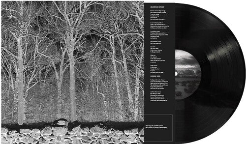 Sunshine And Balance Beams [LP]