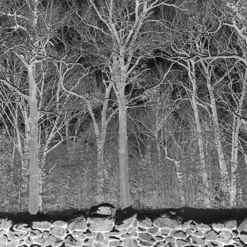 Sunshine And Balance Beams [Cassette]