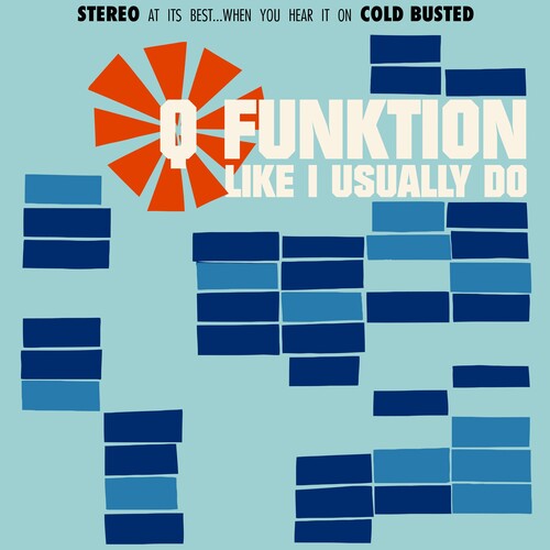 Q Funktion: Like I Usually Do [LP]