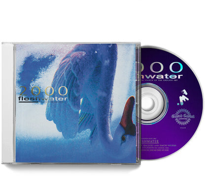 Fleshwater - 2000: In Search of the Endless Sky [CD] — artwork