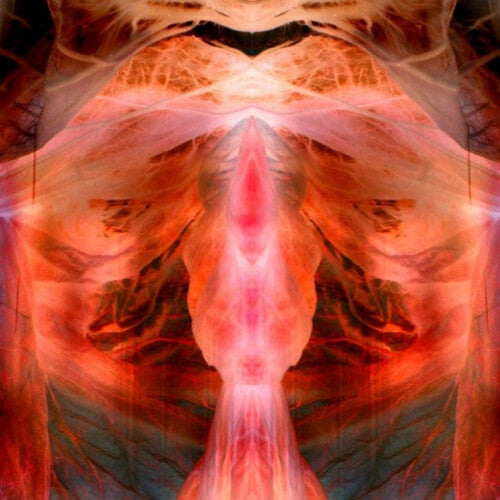 The Annihilating Angel; Or The Surface Of The World [LP]