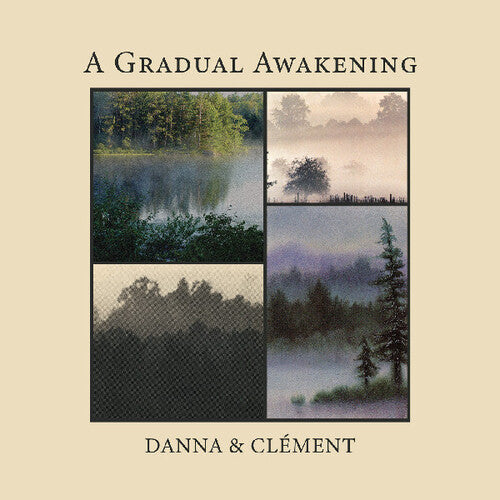 A Gradual Awakening [LP]