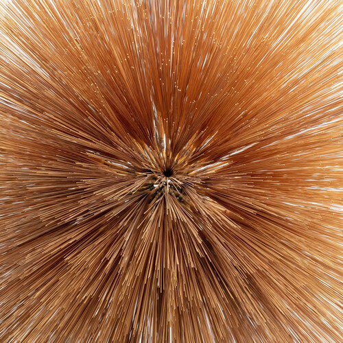 Of The Near And Far [CD]