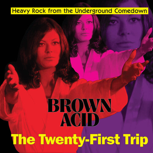 Brown Acid: The Twenty-First Trip [LP]