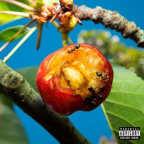 Armonia E Altri Stati D'animo [LP] (import)