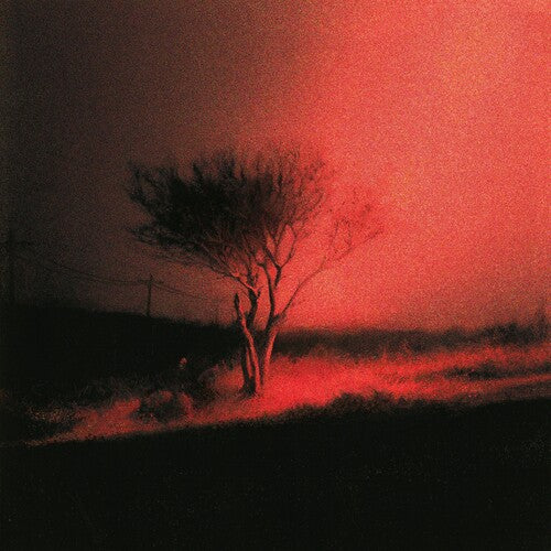 Joji - Piss In The Wind [Prism Colored Vinyl] – Drowned World Records