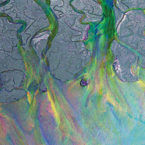 alt-J — An Awesome Wave [Recycled Metallic LP]; artwork and packaging