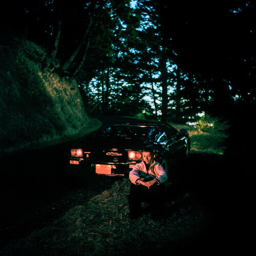 Anywhere Here Is Perfect [LP]