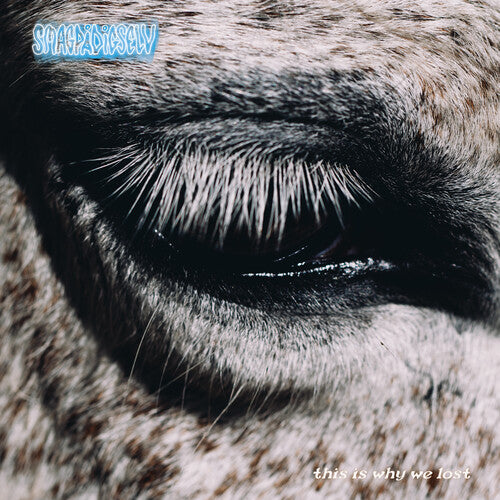 This Is Why We Lost (Black Vinyl)