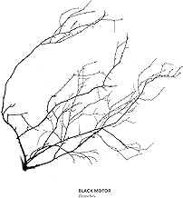 Branches [CD] (Japanese Import)