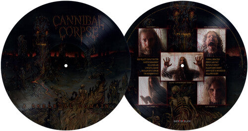 A Skeletal Domain [Vinyl]