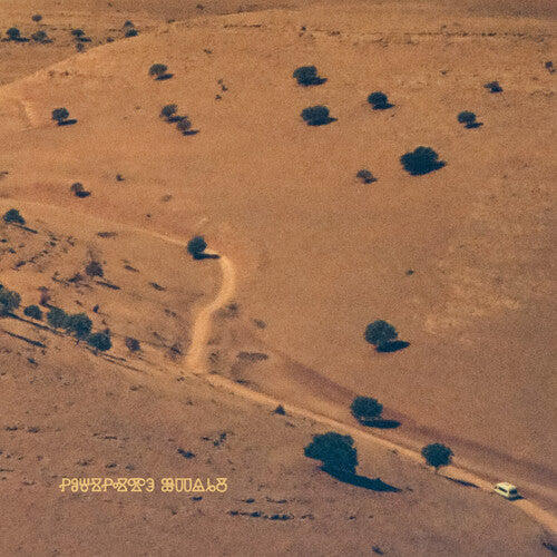 Nocturnal Consolations [LP]