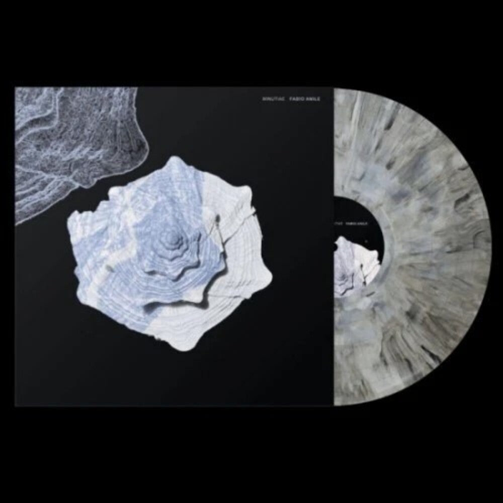 Fabio Anile - Minutiae [LP]